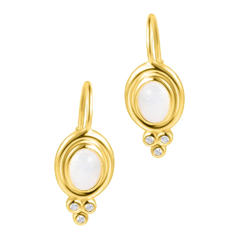 Textured disc earrings-Moonstone Droplet Earrings 14k gold vermeil